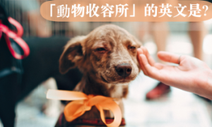 Queck相关阅读