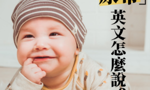 born into相关阅读