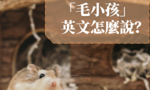 expiatory相关阅读