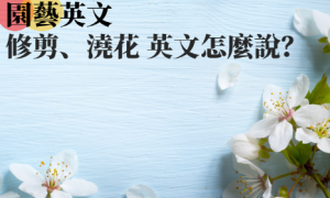 Montague相关阅读
