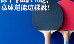 minirobot相关阅读