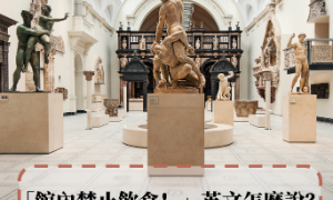 mattedly相关阅读