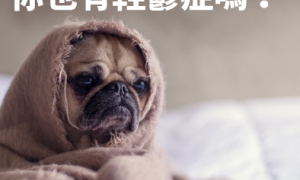 nonmodal相关阅读