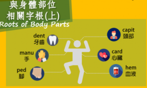 swinish相关阅读