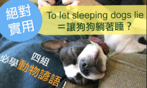 let sleeping dogs lie相关阅读
