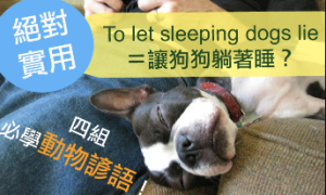 sleeping相关阅读