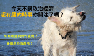 cuter相关阅读