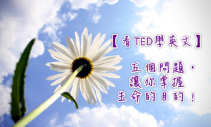 field type相关阅读