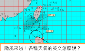 arbuscle相关阅读