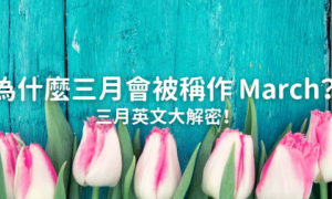 martial相关阅读
