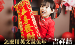 bearskins相关阅读