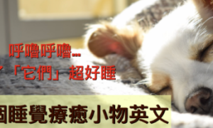 ratatat相关阅读