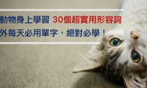 Coppell相关阅读