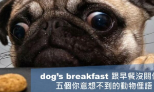 breakfast相关阅读