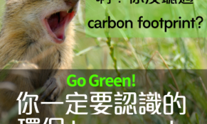 Green相关阅读