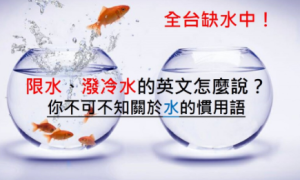 meant相关阅读