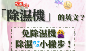 skydivers相关阅读