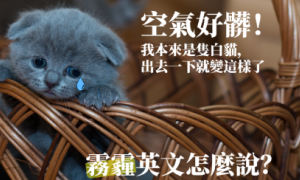 plowback相关阅读