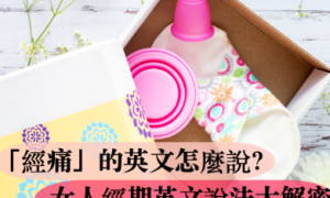 cotyloid相关阅读
