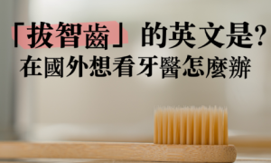 chortles相关阅读