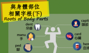 ovicide相关阅读