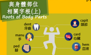 air line相关阅读