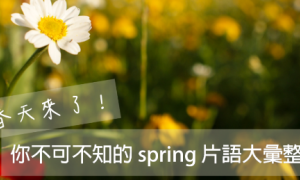 goody相关阅读