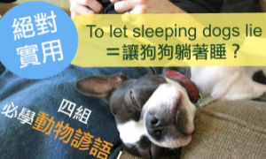let sleeping dogs lie相关阅读