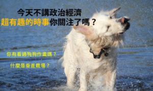DXF相关阅读