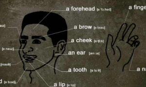 least common denominator相关阅读