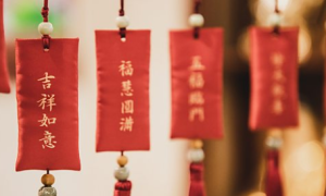 polypod相关阅读