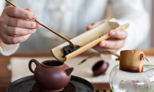 dint相关阅读