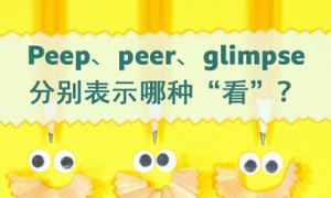 wets相关阅读