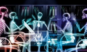 anatomy相关阅读