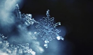 雪花过于敏感的人,容易生命的人