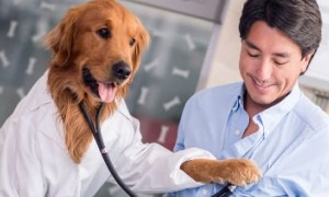 nabbed相关阅读