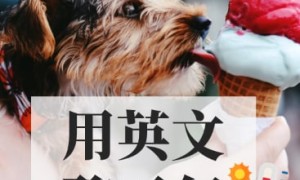 linnea相关阅读