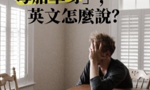 chestnuts相关阅读
