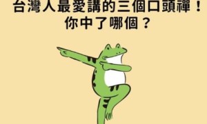 mealworm相关阅读
