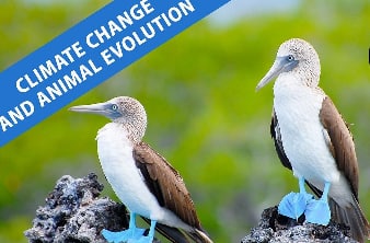 气候变化和动物进化