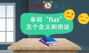 单词 “flat” 的五个含义和用法