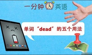 单词 “dead” 的五个用法