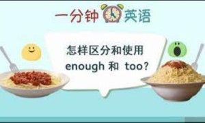 怎样区分和使用 enough 和 too？