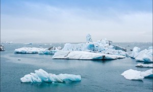 生物学家：气候变暖或使人类变小