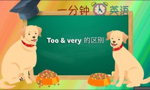 Too & very 的区别