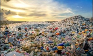 研究：彻底禁用塑料无助环保 或增加温室气体排放量